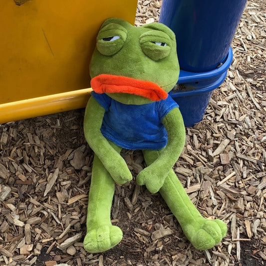 Sad Froggie